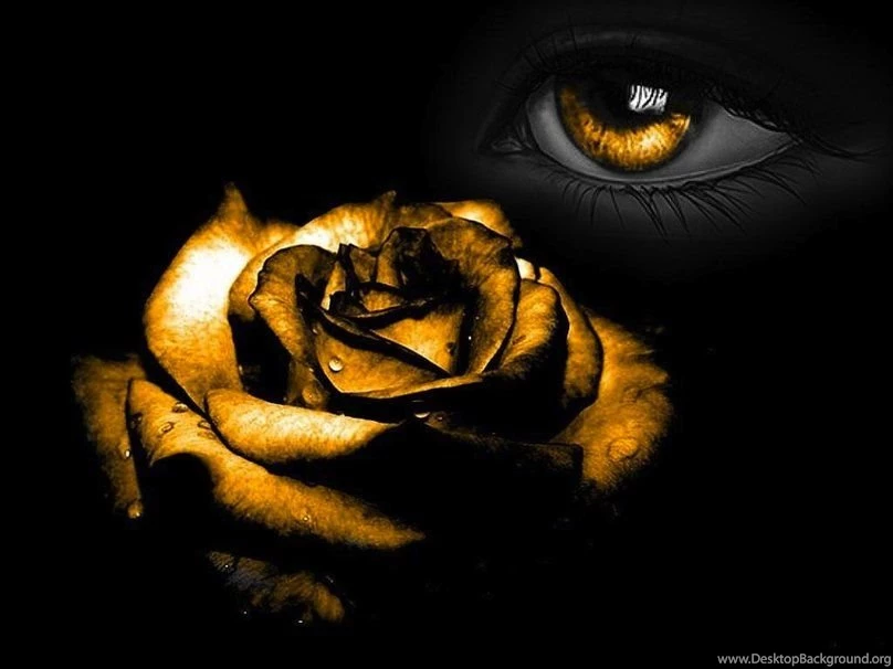 Goldeneye Wallpapers