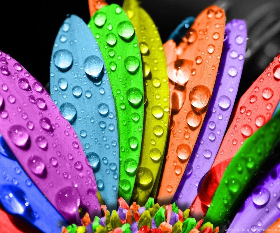 Colorful Android Wallpapers 04