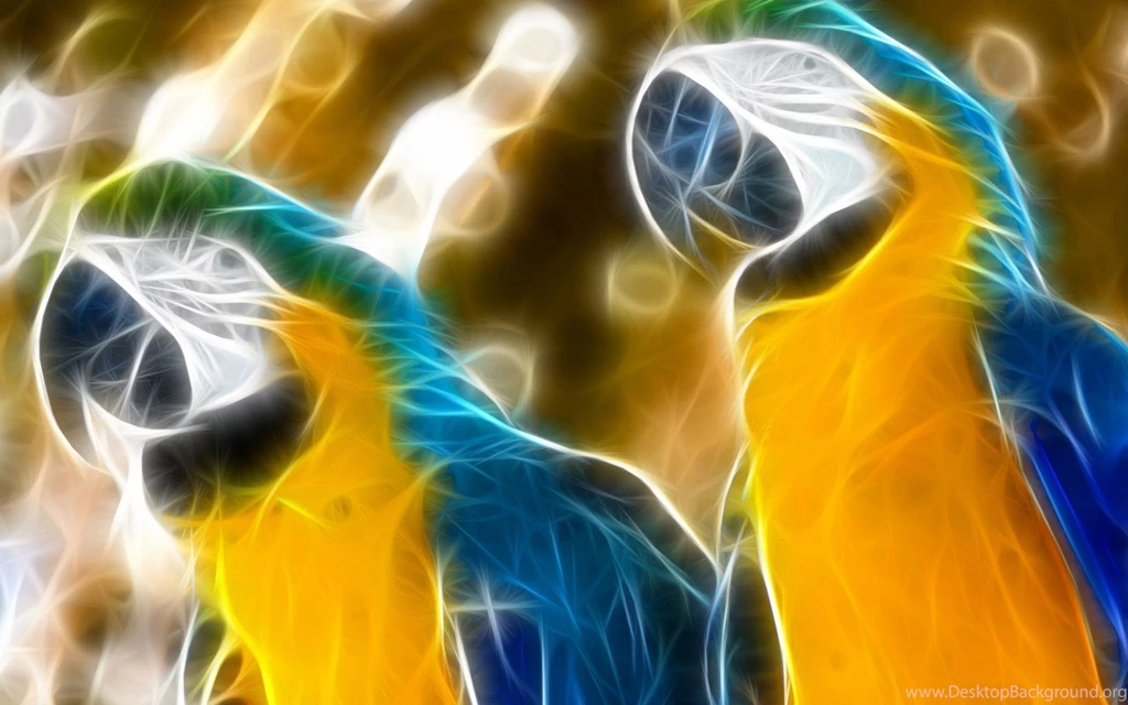 Blue and yellow Macaw Computer Wallpapers, Desktop Backgrounds ...