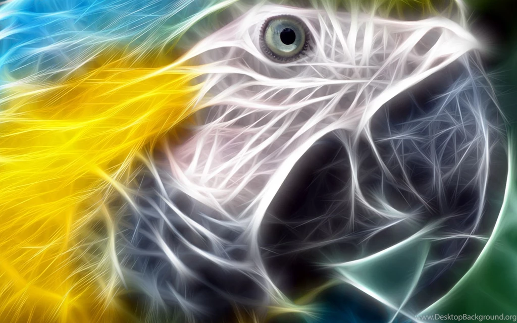 Blue and yellow Macaw Computer Wallpapers, Desktop Backgrounds ...