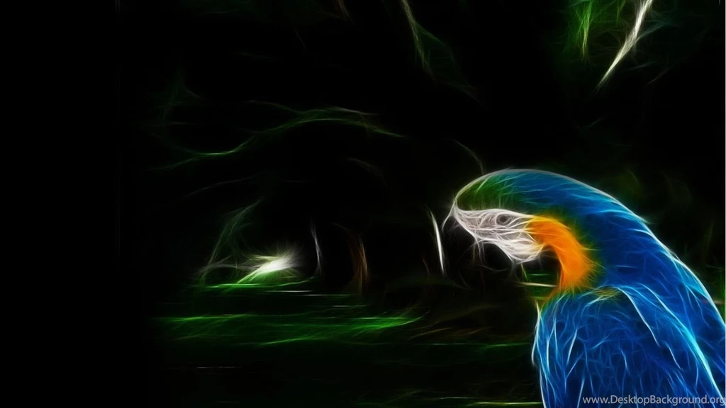 Glowing Macaw Widescreen Wallpapers