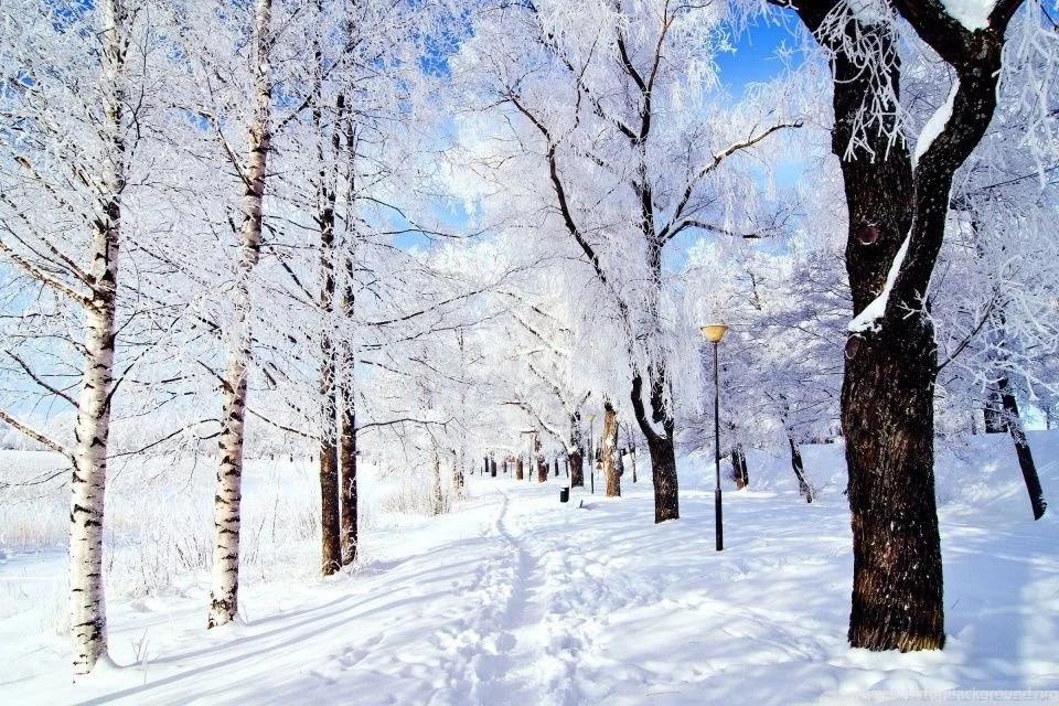 Winter Wonderland HD Desktop Wallpapers : High Definition ...