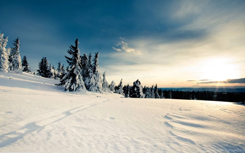 Winter Wonderland Wallpapers Free Wide HD Wallpapers