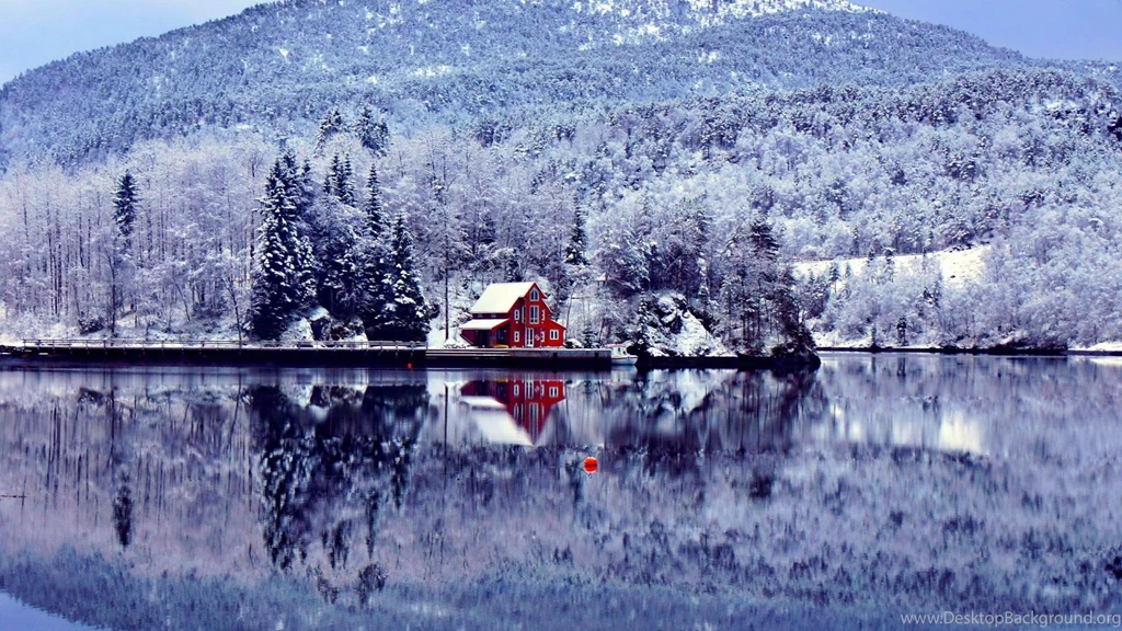 Winter Wonderland Wallpapers (