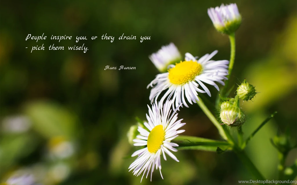 People Inspire You, Or They Drain You... Wallpapers
