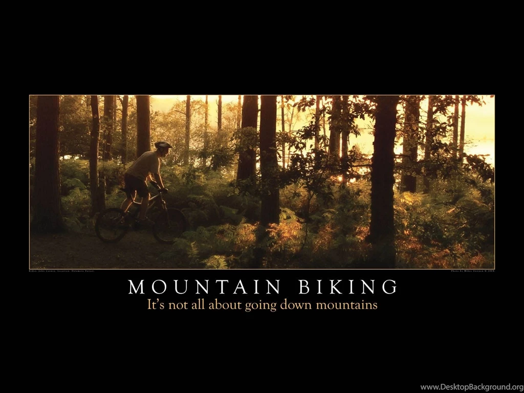 DeviantArt: More Like Mountain Biking Wallpapers 1600 By Smokeymac