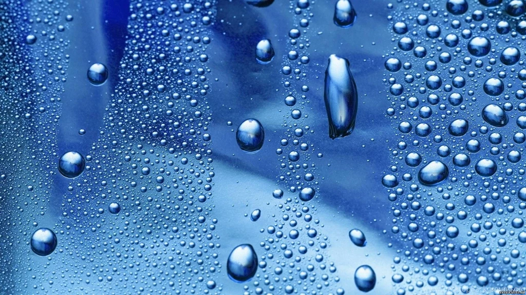 Rain Water Drops Wallpapers