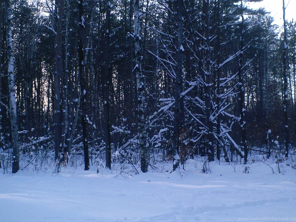 Snowy Backgrounds 1 By TaylorSwift Graphics On DeviantArt