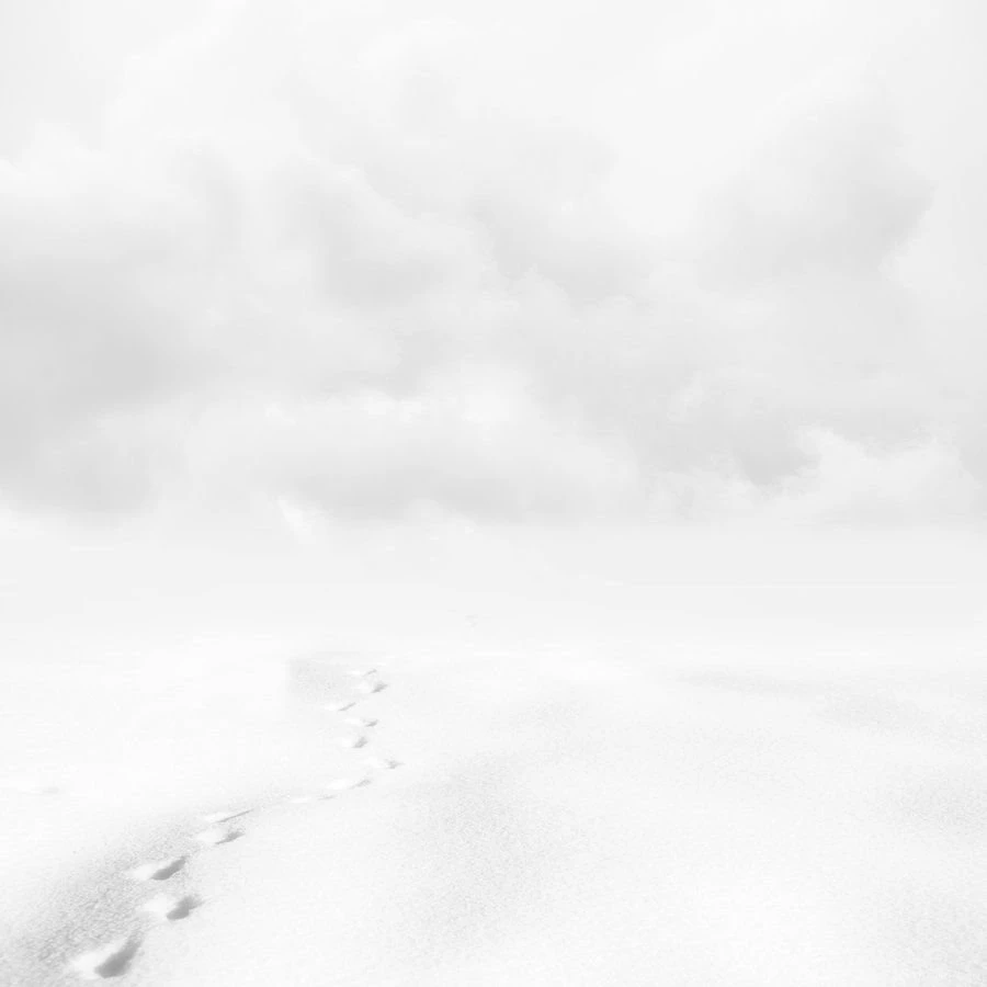 Winter On PremadeBackgrounds DeviantArt