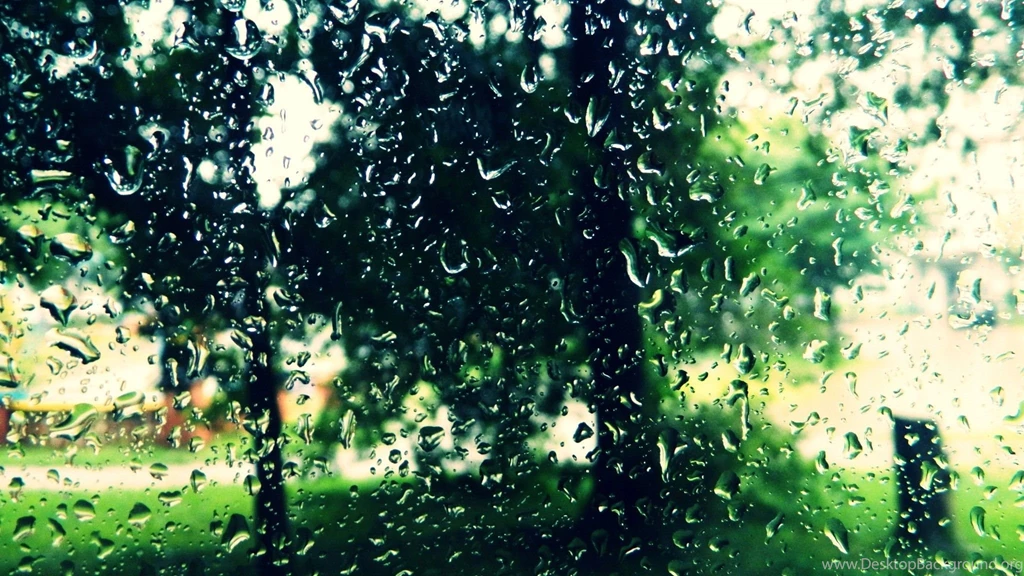 Rain Water Drops Wallpapers