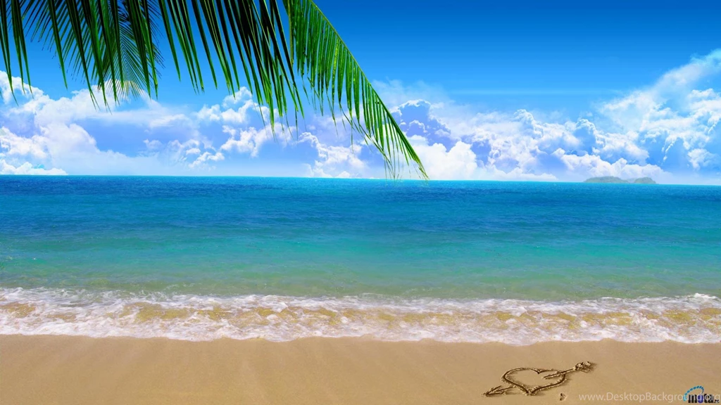 Download Wallpapers Palm On Paradise Beach (1920 X 1080 HDTV 1080p ...