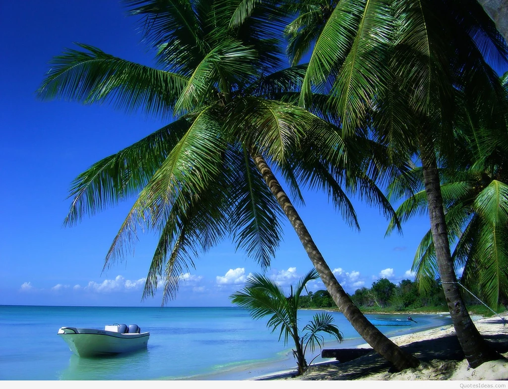 Beach paradise wallpaper summer hd.png