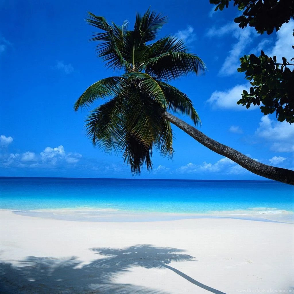 Download HD Beach Wallpapers For Desktop Backgrounds Free