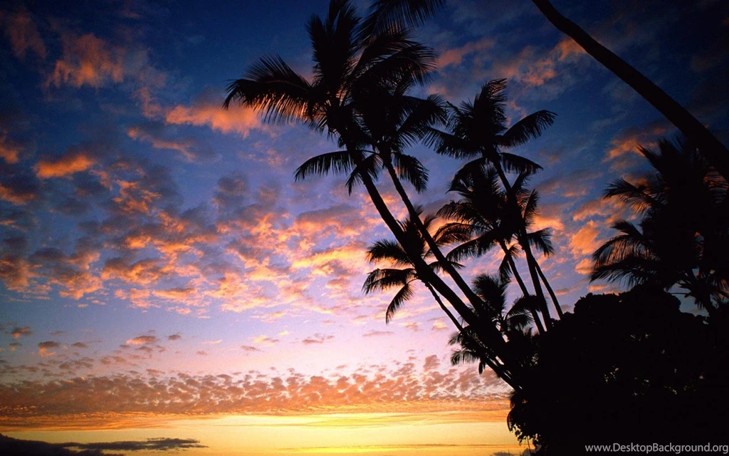 Tropical Beach Paradise Sunset   Wallpaper.