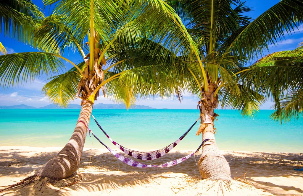 Vacation, Tropical, Hammock, Beach, Palms, Sea, Sand :: Wallpapers