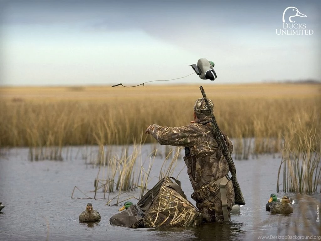 Hunting HD Wallpapers