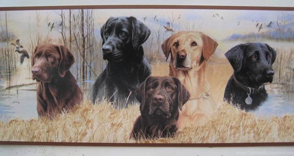 Dog Wallpapers Border