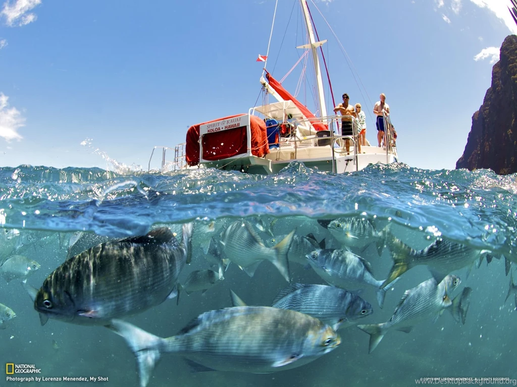 25160_1600x1200 wallpaper cb1365433715.jpg