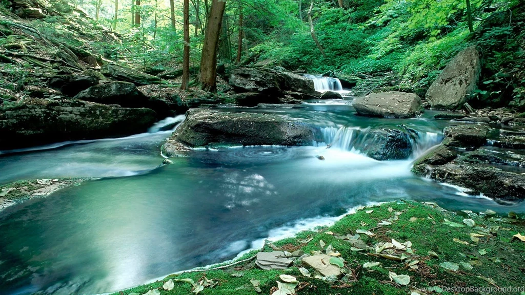 Wallpapers Nature Free Download   HD Wallpapers Pretty