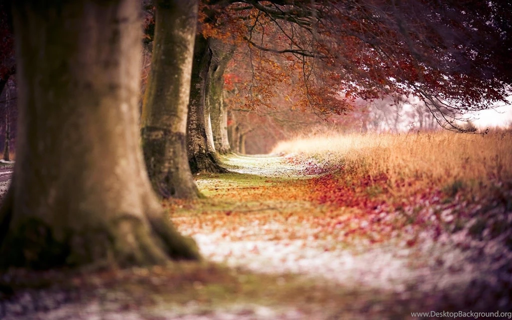 Awesome Desktop Backgrounds   HD Wallpapers Lovely