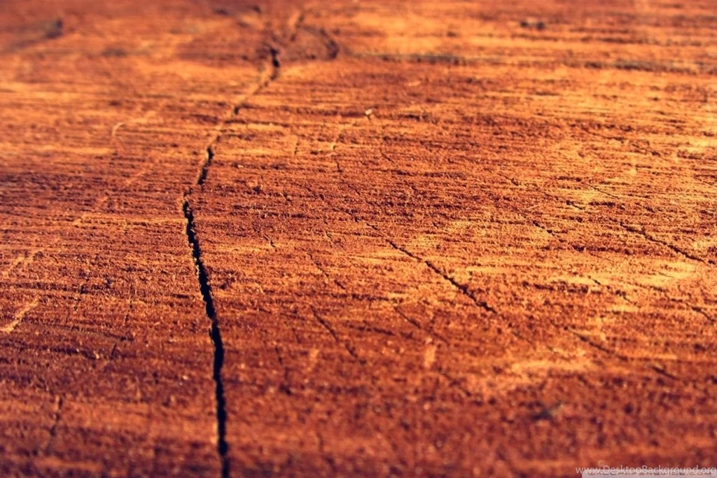 Wood Log HD Desktop Wallpapers : Widescreen : High Definition ...