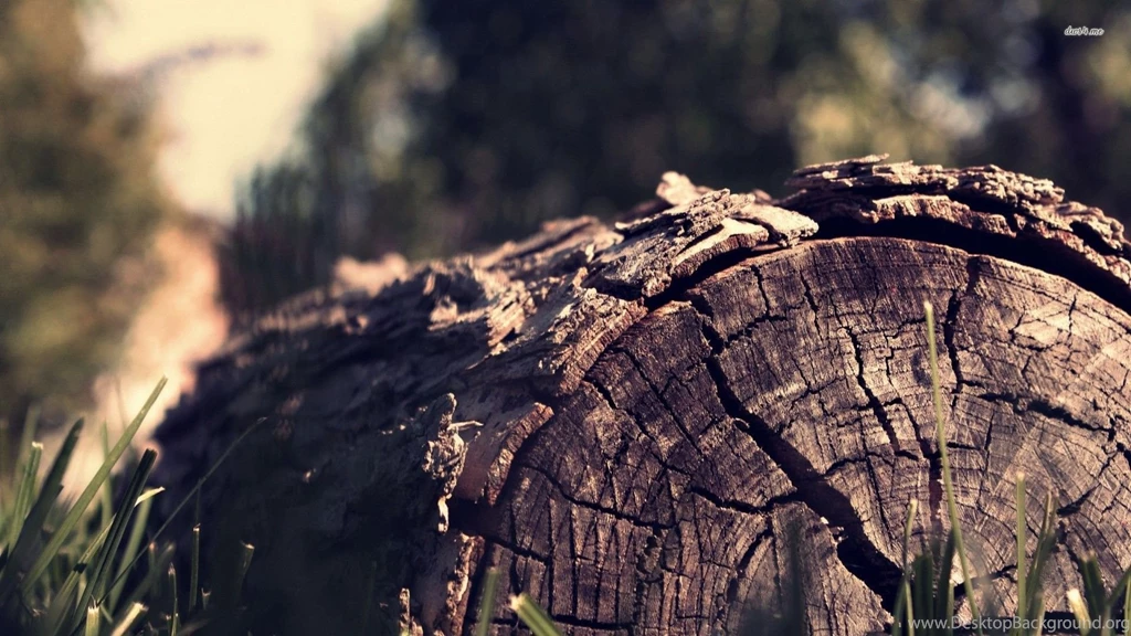 Log Wallpapers   Photography Wallpapers