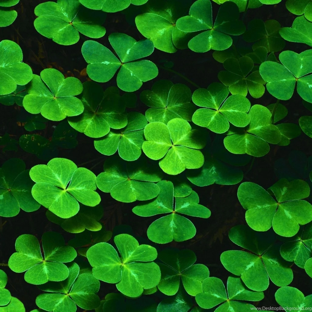 Clover iPad 3,4 & Air Wallpapers