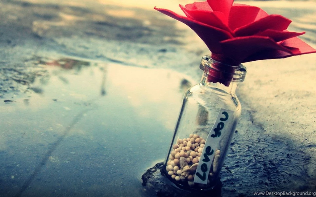 Love Wallpapers High Resolution