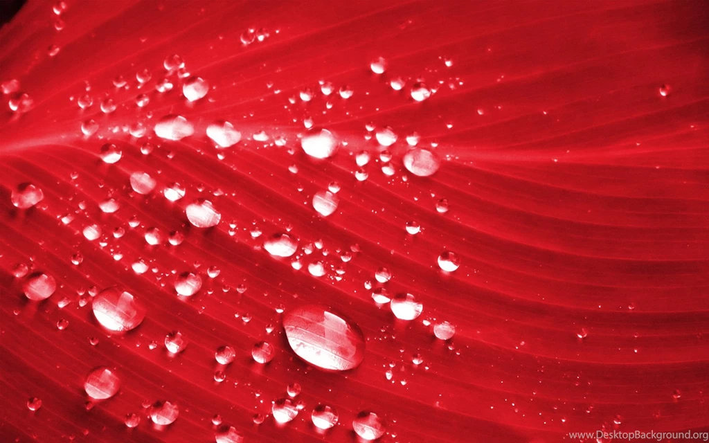 Red Color Wallpapers