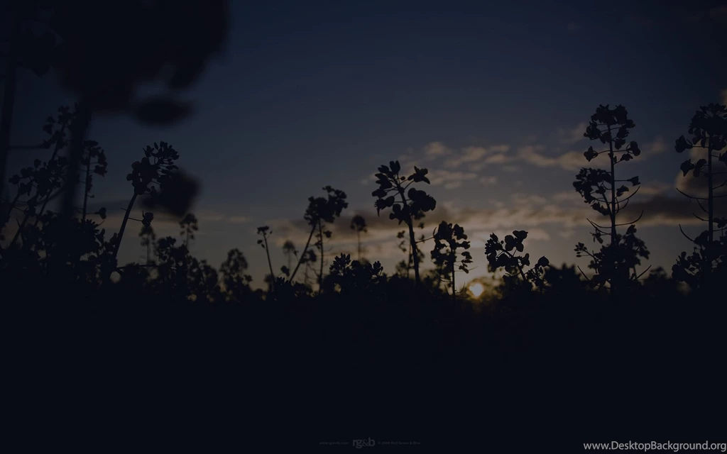 Of Website, Designs, 1920x1200 HD Wallpapers And FREE Stock Photo