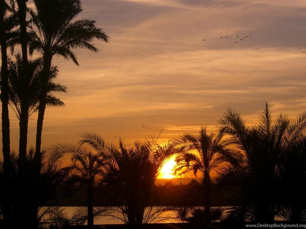 Visiting Egypt's Ruins From A Nile River Cruise — BucketTripper