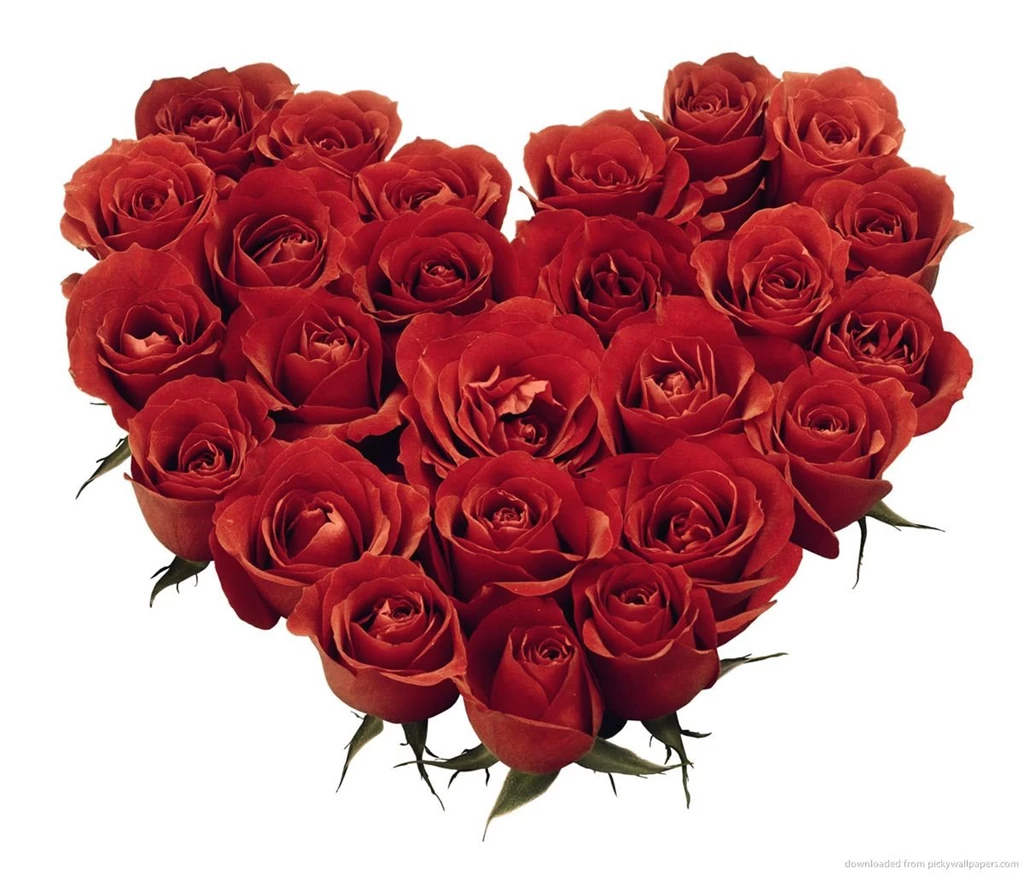 Download Red Roses Heart Wallpapers For Samsung Galaxy Tab