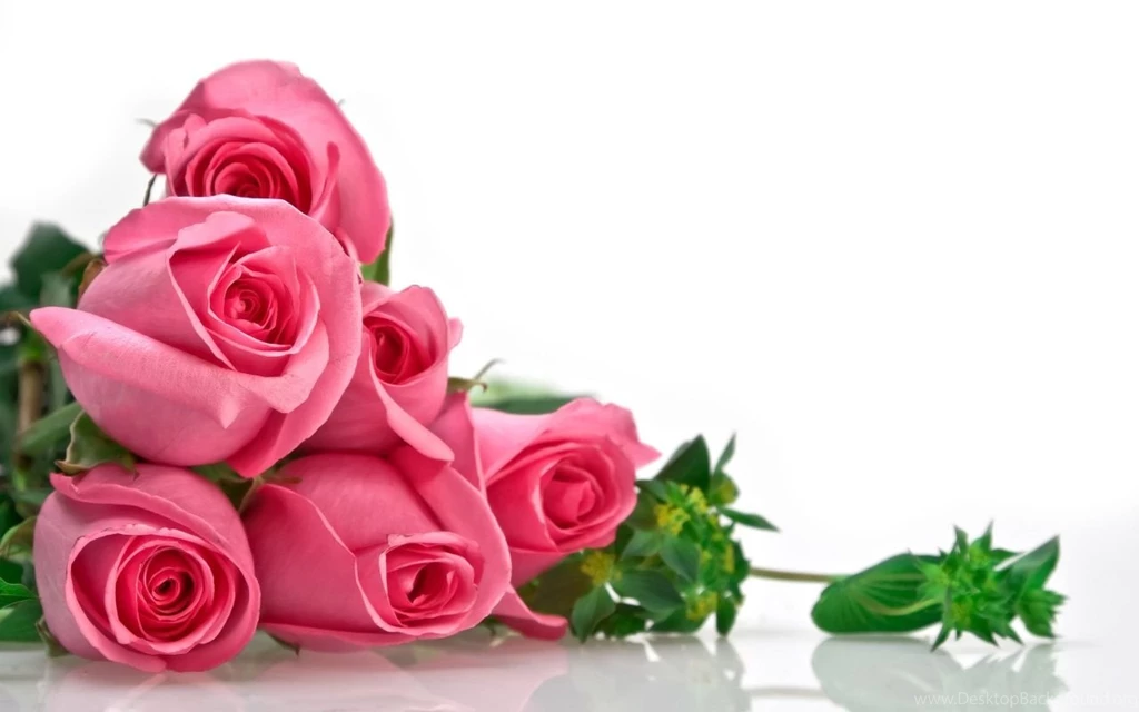 1280x800px Flowers Love Wallpapers