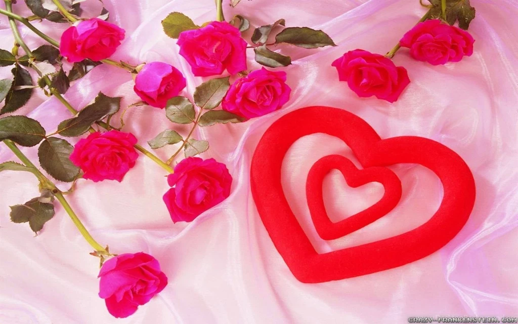 Love Flowers Wallpapers   Crazy Frankenstein