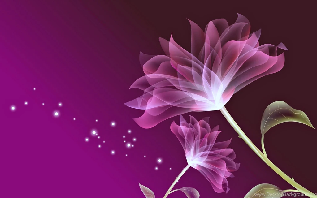 Flowers Wallpapers Pink Love Wallpapers
