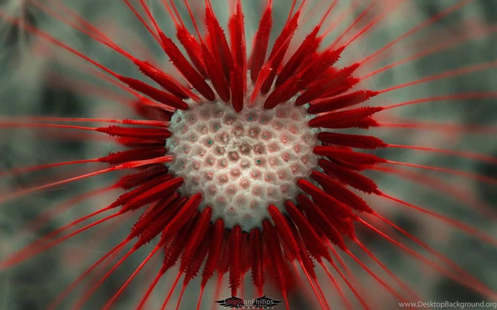 Love) , Flower Love Heart