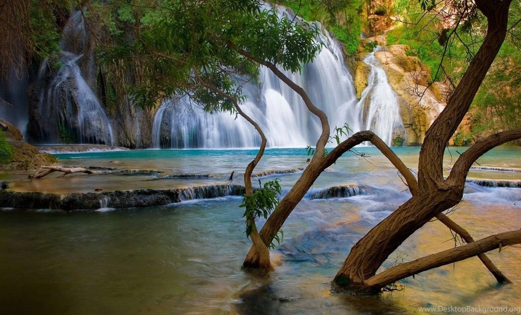 Beautiful Nature Free HD Wallpapers.jpg