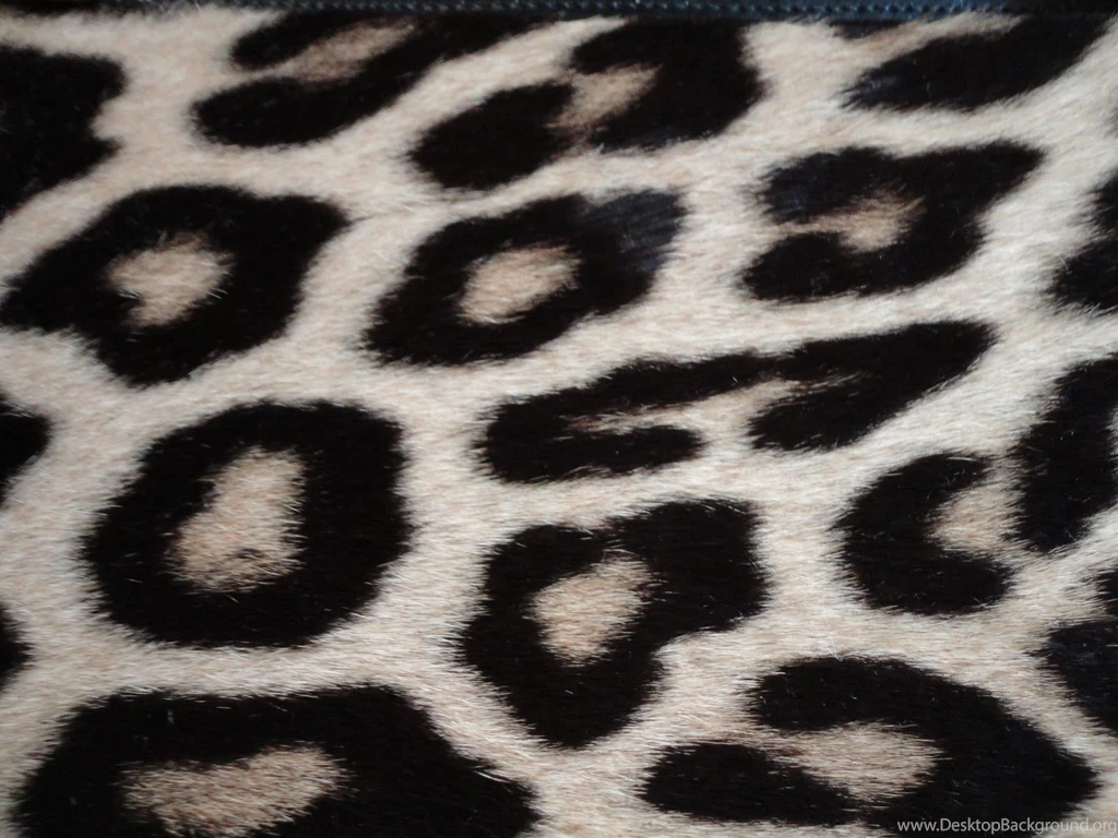 Black And White Cheetah Print Backgrounds Wallpapers 81128