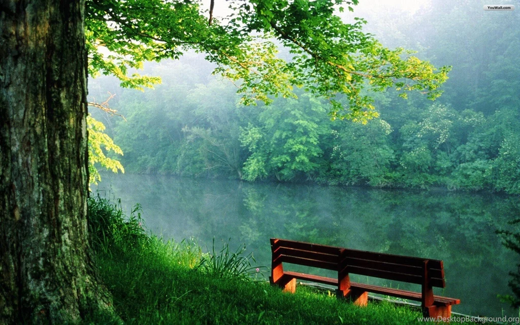 YouWall Bench By The River Wallpapers Wallpaper,wallpapers,free ...