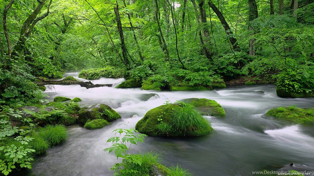 Japan River Wallpapers – 509697
