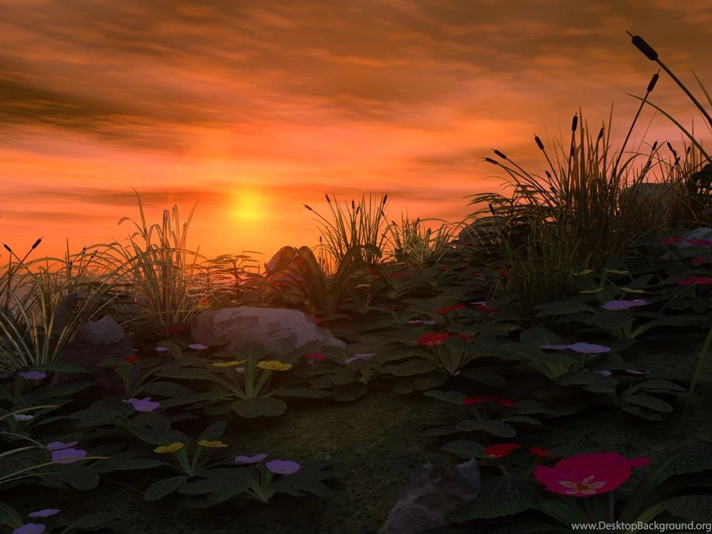 Wall Murals Desktop Backgrounds