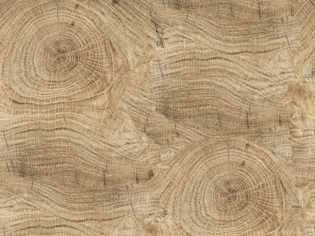 Wood Effect Bathroom Wallpapers LIFE LINES By Wall&decò Design ...