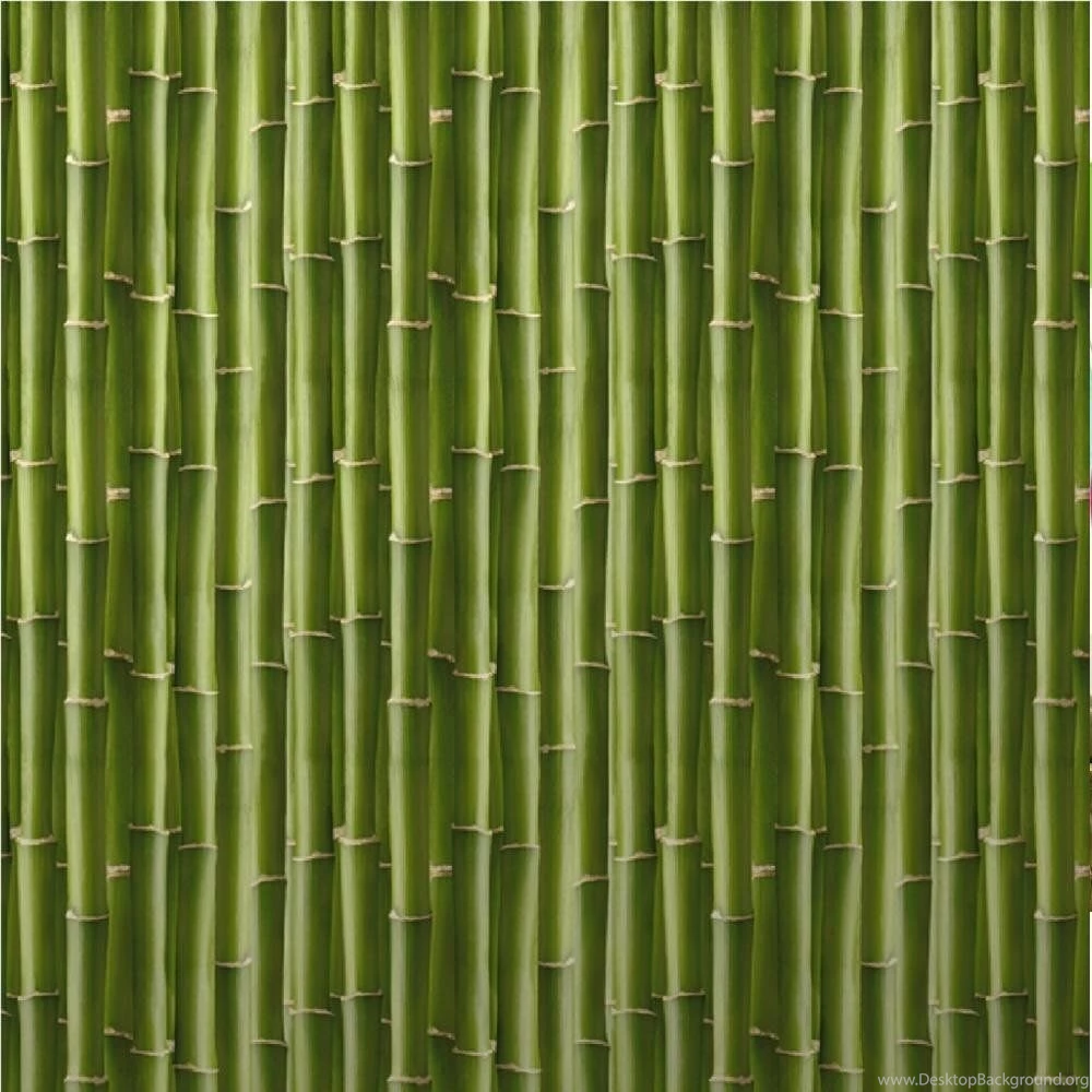 Grandeco grandeco vera cruz bamboo forest jungle wood effect wallpaper 817984 p1119 1659_zoom.jpg