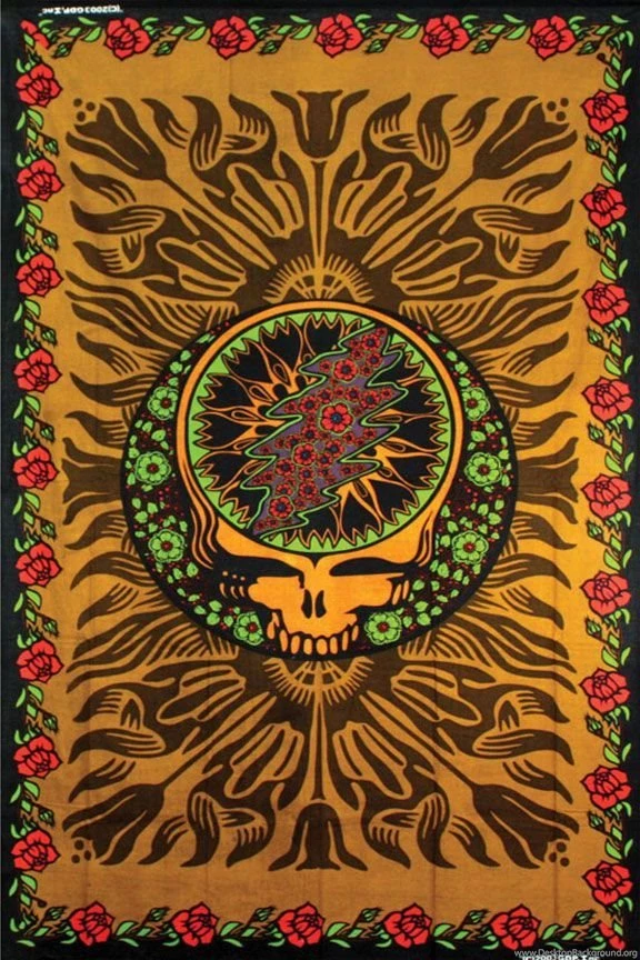 Shakedown Street On Pinterest