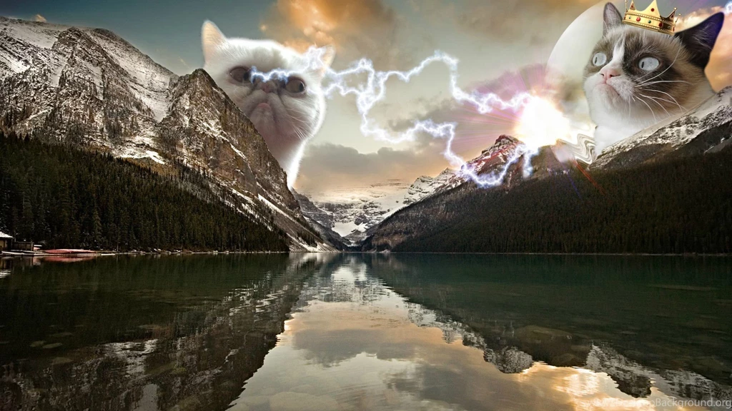 I Created This Masterpiece. [1920x1080] : Wallpapers