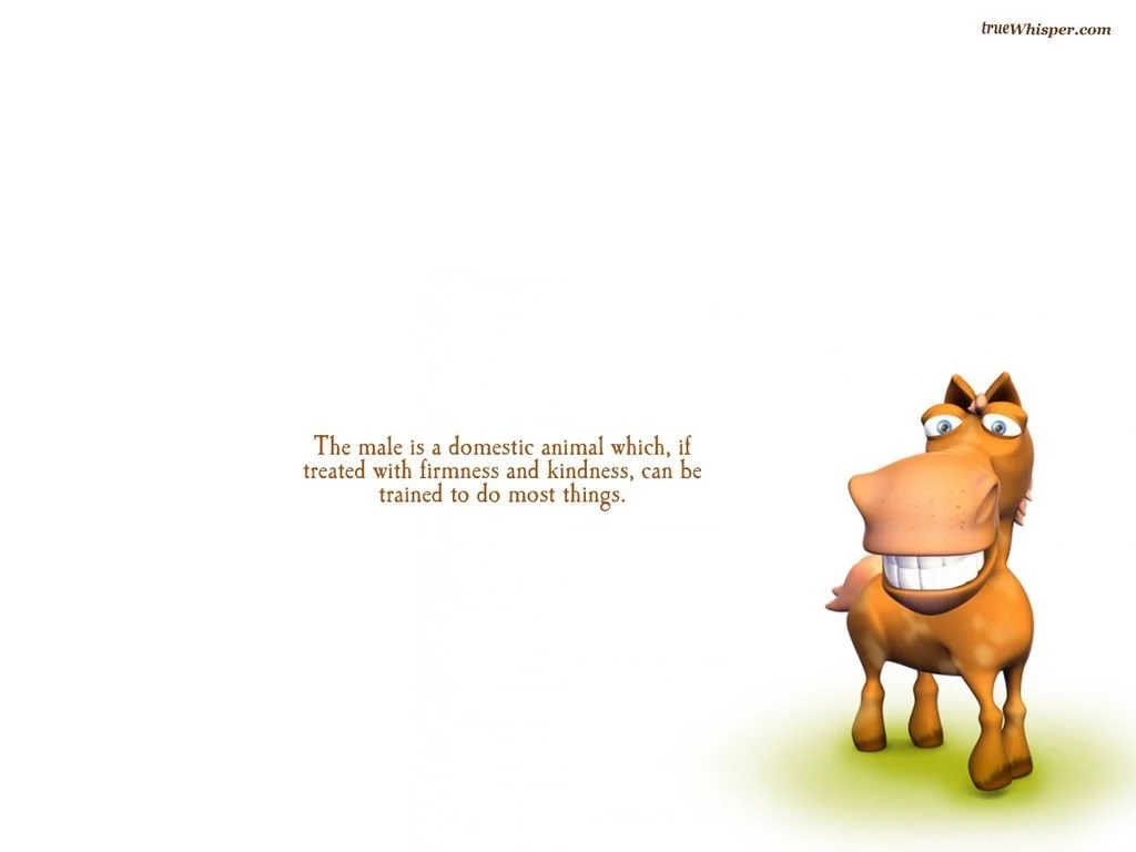 22499) Funny Quotes High Resolution Wallpapers WalOps.com