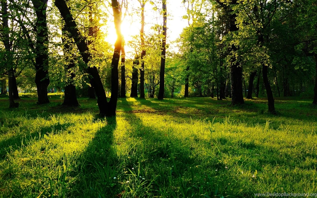 Top Beautiful Scenery Wallpapers 5.jpg