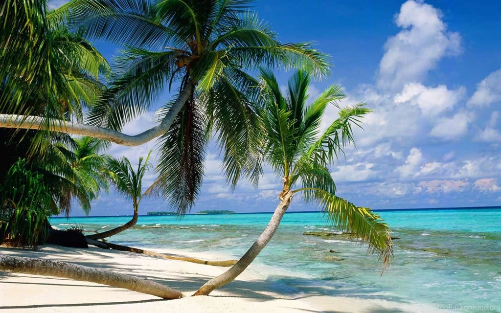 Best Scenery (id: 95365) – BUZZERG