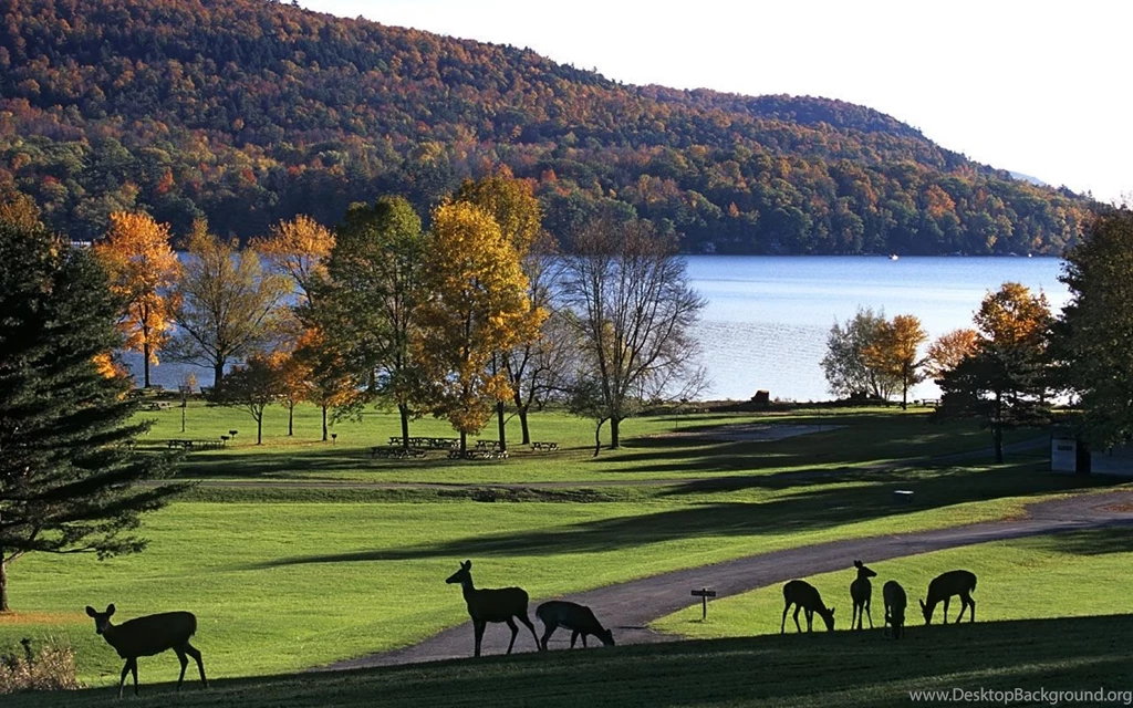 Central Park HD Wallpapers