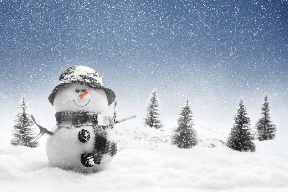 Snowy Photography To Set Your Christmas Spirit